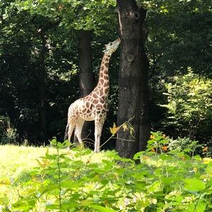 Meet your Posher, Leslie